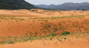 Pink Coral Sand Dunes